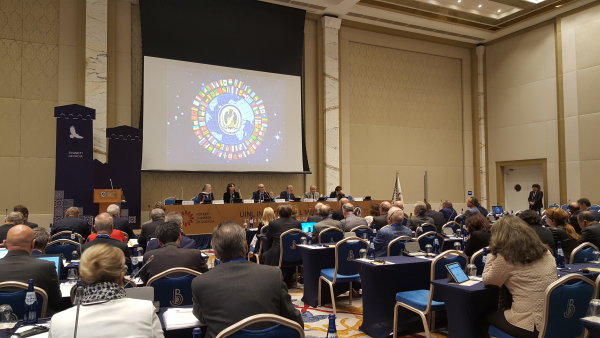 11-14 мая 2017 г. в Тбилиси (Грузия) состоялись институциональные заседания Международного союза...